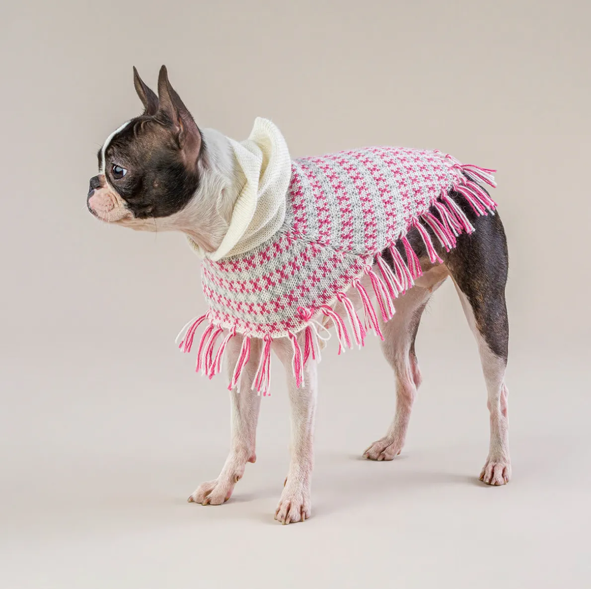 Sofia Pink Alpaca Dog Poncho